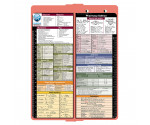 WhiteCoat Clipboard® Vertical - Coral Pharmacy Edition